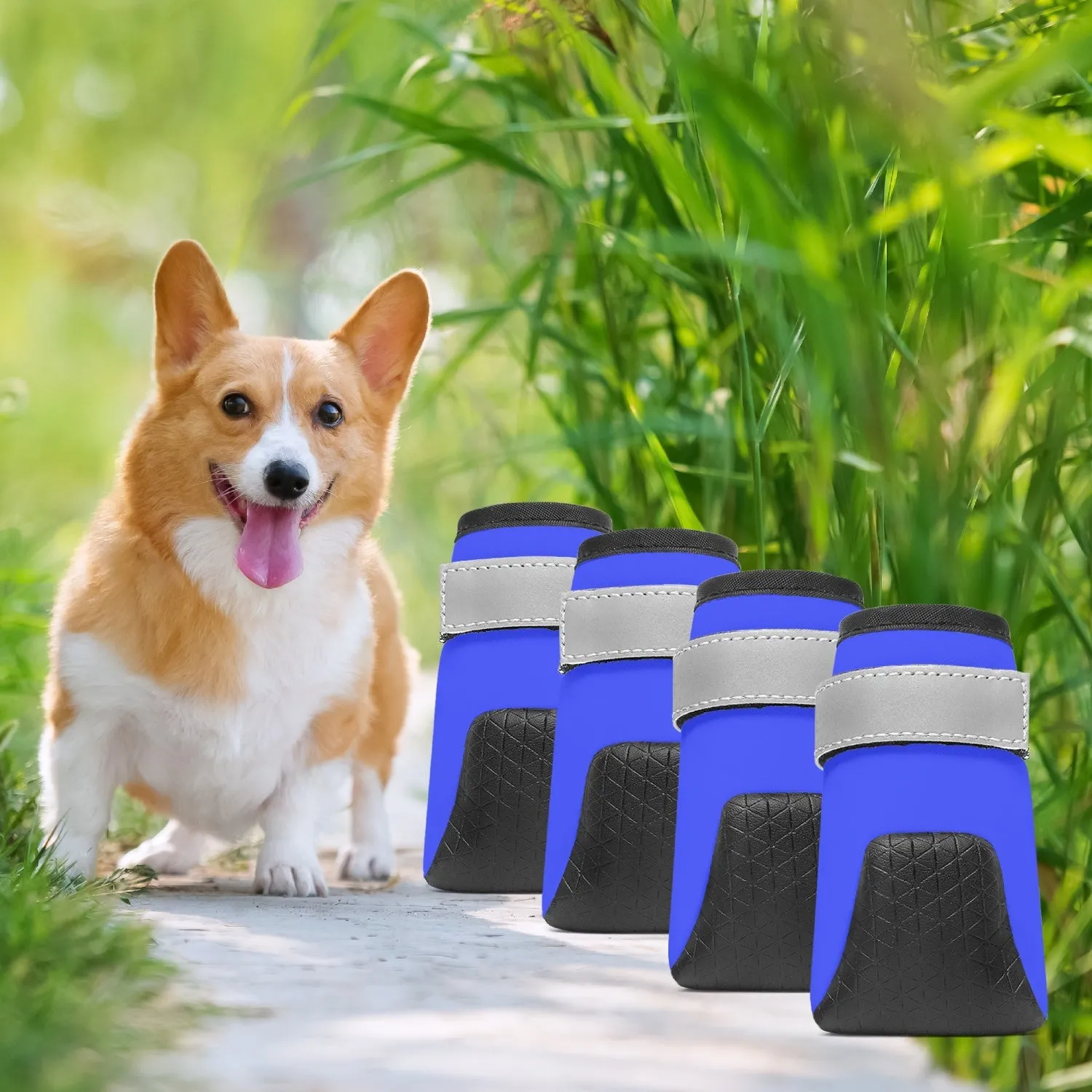 LCC CHUCS BLUE Pet Booties for Dogs